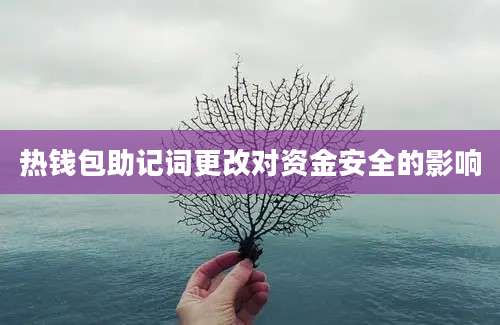 热钱包助记词更改对资金安全的影响