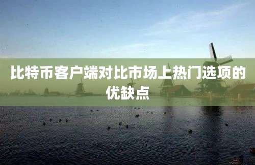 比特币客户端对比市场上热门选项的优缺点