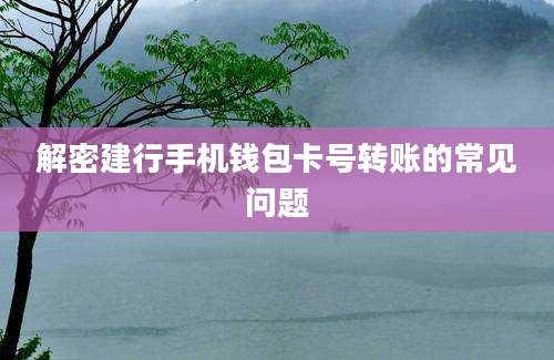 解密建行手机钱包卡号转账的常见问题