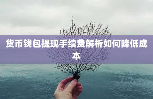 货币钱包提现手续费解析如何降低成本