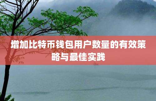 增加比特币钱包用户数量的有效策略与最佳实践