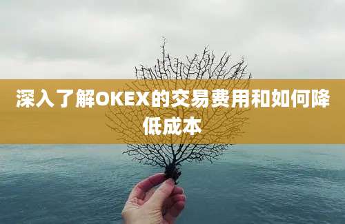 深入了解OKEX的交易费用和如何降低成本