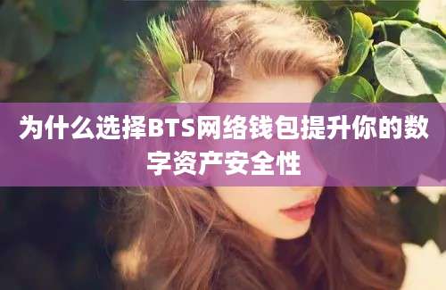 为什么选择BTS网络钱包提升你的数字资产安全性