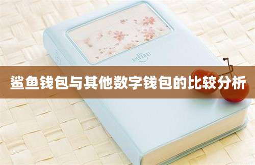 鲨鱼钱包与其他数字钱包的比较分析