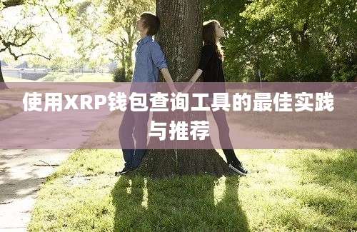 使用XRP钱包查询工具的最佳实践与推荐