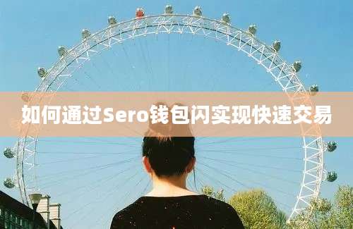 如何通过Sero钱包闪实现快速交易