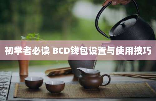 初学者必读 BCD钱包设置与使用技巧