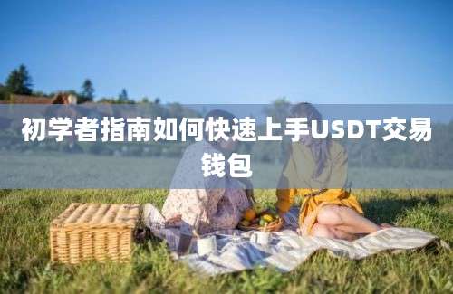 初学者指南如何快速上手USDT交易钱包