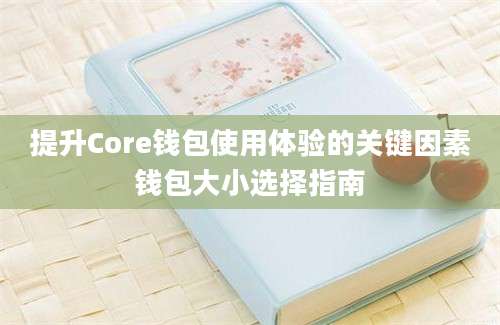 提升Core钱包使用体验的关键因素钱包大小选择指南