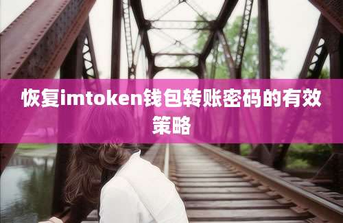 恢复imtoken钱包转账密码的有效策略