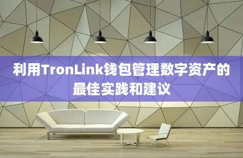 利用TronLink钱包管理数字资产的最佳实践和建议