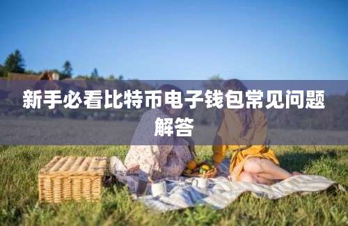 新手必看比特币电子钱包常见问题解答