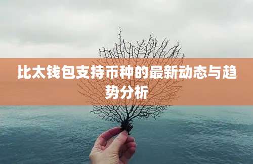 比太钱包支持币种的最新动态与趋势分析