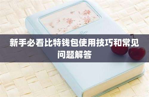 新手必看比特钱包使用技巧和常见问题解答