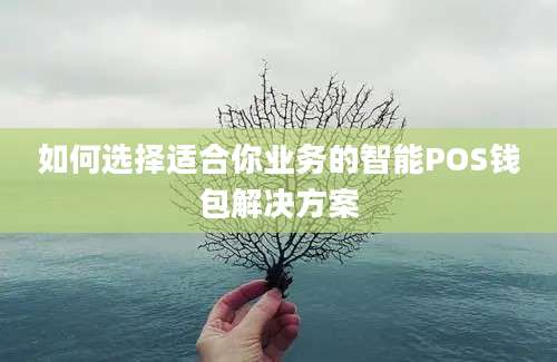 如何选择适合你业务的智能POS钱包解决方案