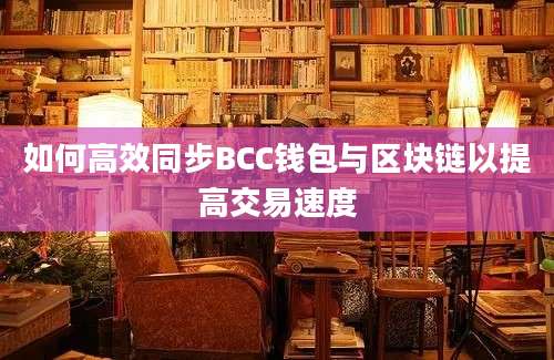 如何高效同步BCC钱包与区块链以提高交易速度