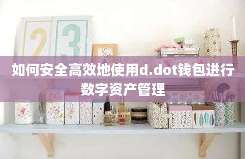 如何安全高效地使用d.dot钱包进行数字资产管理