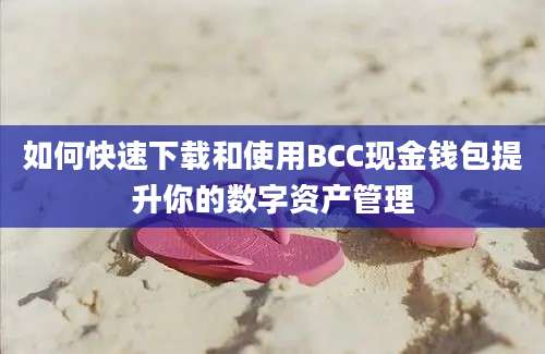 如何快速下载和使用BCC现金钱包提升你的数字资产管理