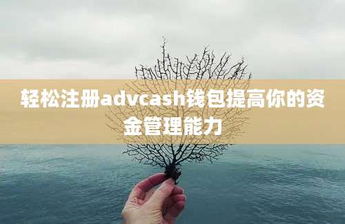 轻松注册advcash钱包提高你的资金管理能力