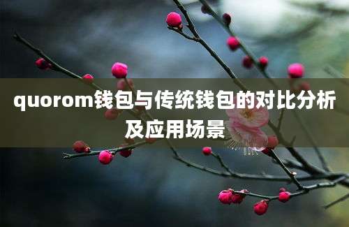 quorom钱包与传统钱包的对比分析及应用场景