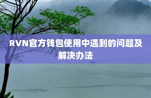 RVN官方钱包使用中遇到的问题及解决办法