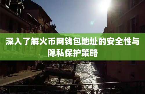 深入了解火币网钱包地址的安全性与隐私保护策略