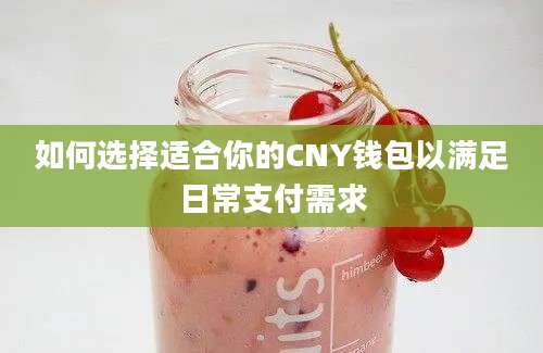 如何选择适合你的CNY钱包以满足日常支付需求