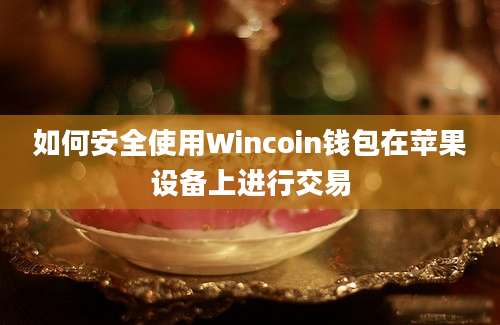 如何安全使用Wincoin钱包在苹果设备上进行交易