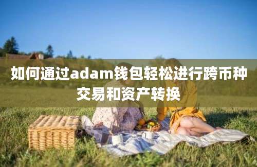 如何通过adam钱包轻松进行跨币种交易和资产转换