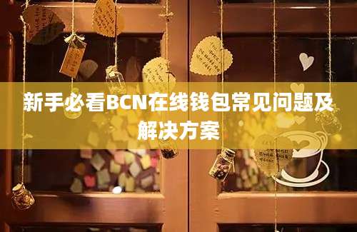 新手必看BCN在线钱包常见问题及解决方案