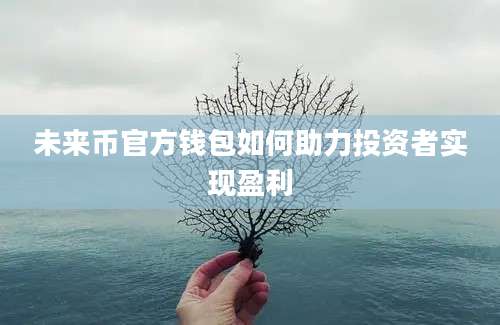 未来币官方钱包如何助力投资者实现盈利