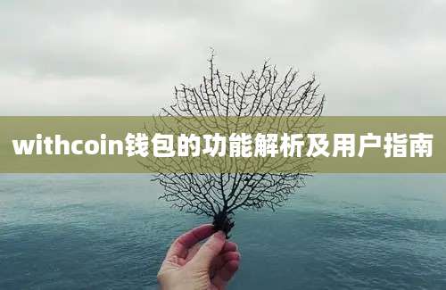 withcoin钱包的功能解析及用户指南