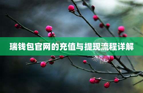 瑞钱包官网的充值与提现流程详解