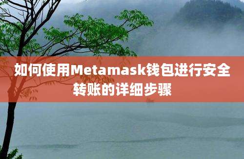 如何使用Metamask钱包进行安全转账的详细步骤