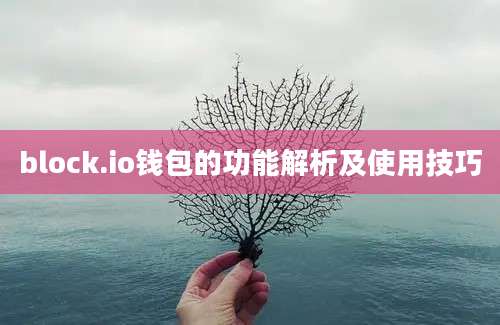 block.io钱包的功能解析及使用技巧