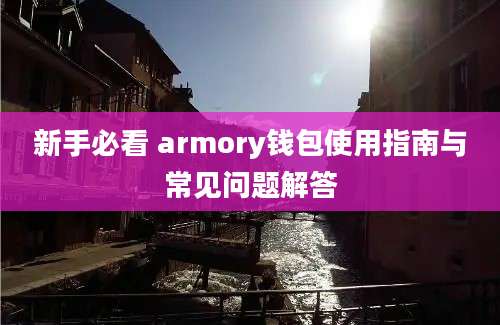 新手必看 armory钱包使用指南与常见问题解答