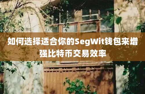 如何选择适合你的SegWit钱包来增强比特币交易效率