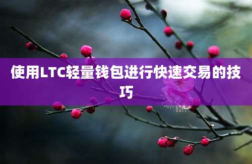 使用LTC轻量钱包进行快速交易的技巧