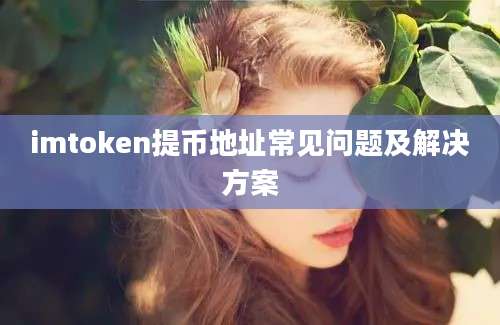 imtoken提币地址常见问题及解决方案