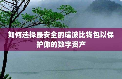 如何选择最安全的瑞波比钱包以保护你的数字资产