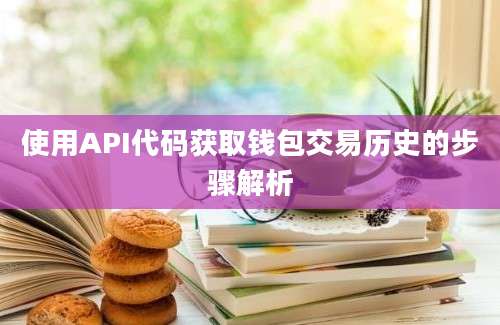 使用API代码获取钱包交易历史的步骤解析