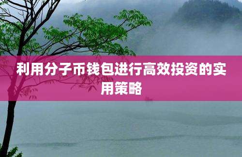 利用分子币钱包进行高效投资的实用策略