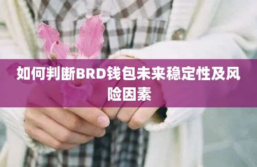 如何判断BRD钱包未来稳定性及风险因素