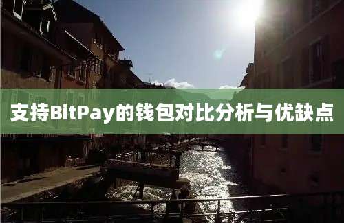 支持BitPay的钱包对比分析与优缺点