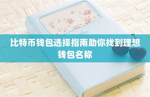 比特币钱包选择指南助你找到理想钱包名称