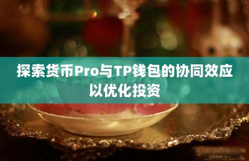 探索货币Pro与TP钱包的协同效应以优化投资