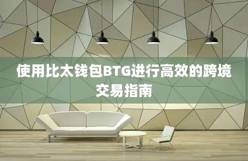 使用比太钱包BTG进行高效的跨境交易指南