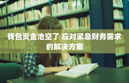 钱包资金池空了 应对紧急财务需求的解决方案