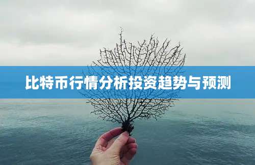 比特币行情分析投资趋势与预测