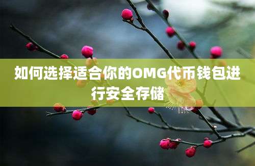 如何选择适合你的OMG代币钱包进行安全存储